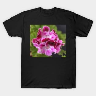 Pelargonium Bouquet T-Shirt